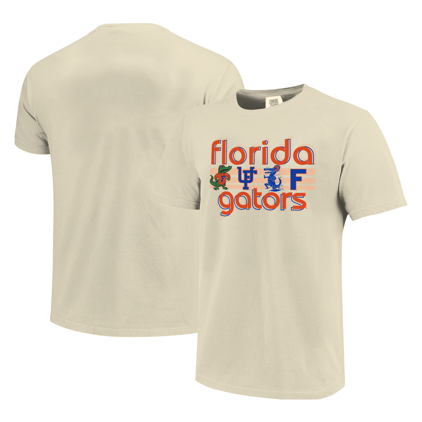Florida Gators Image One Men's T-Shirt 250150 Logo Strip - officially licensed fan gear