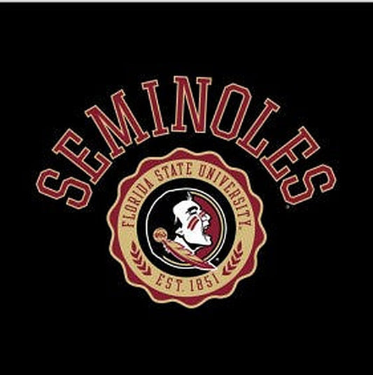 Florida State Seminoles Over Faux Seal Men's Tee