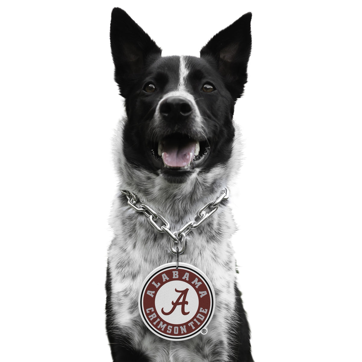 Alabama Crimson Tide Little Earth Pet Fan Chain