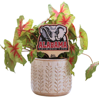Alabama, University of - Big Al Color Plant Stake