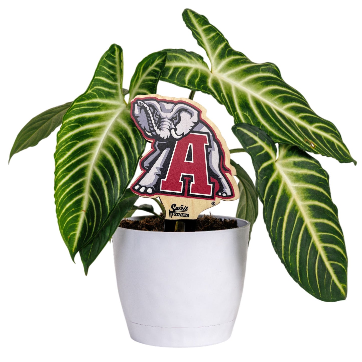 Alabama Elephant Color Plant Stake