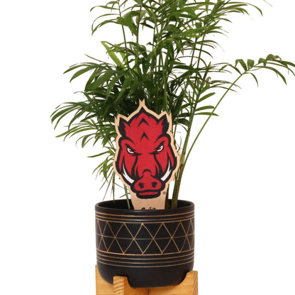 Arkansas, University of - Razorback Head Color Plant Stake