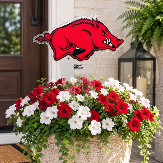 Arkansas Running Razorback Medium Garden Stake