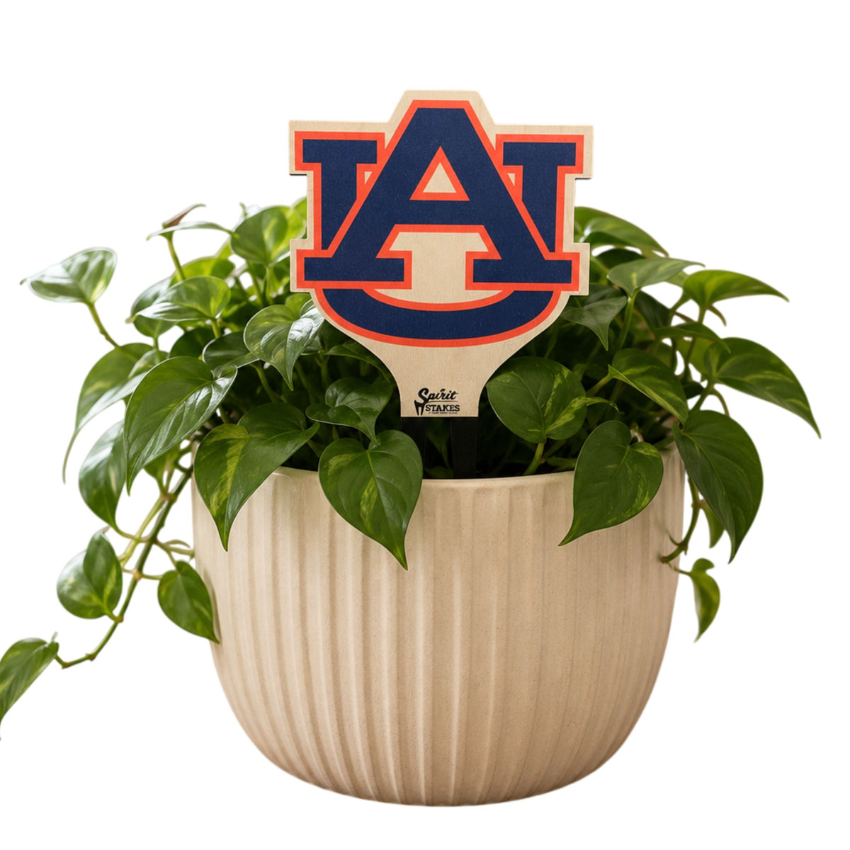 Auburn 'AU' Color Plant Stake