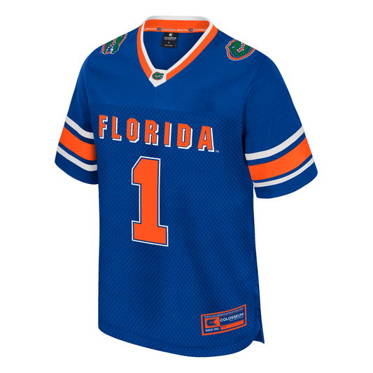 NCAA Florida Gators Colosseum Youth All Day Royal Football Jersey