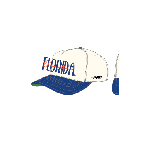 NCAA Florida Gators Pro Standard Original Players Wool Blend Pro Pinch Strapback Hat (Eggshell/Royal)