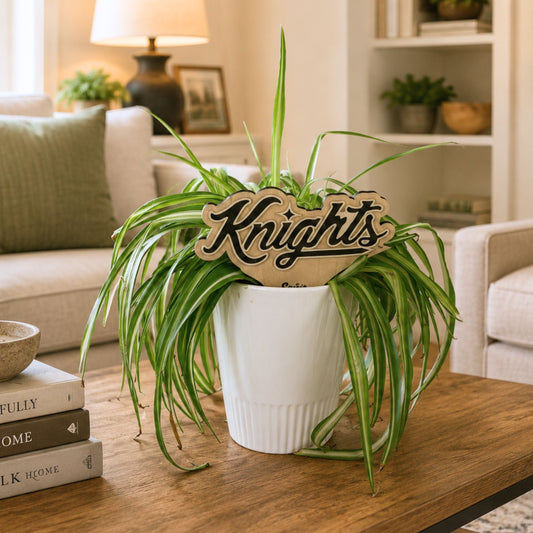 Central Florida 'Knights' Color Plant Stake