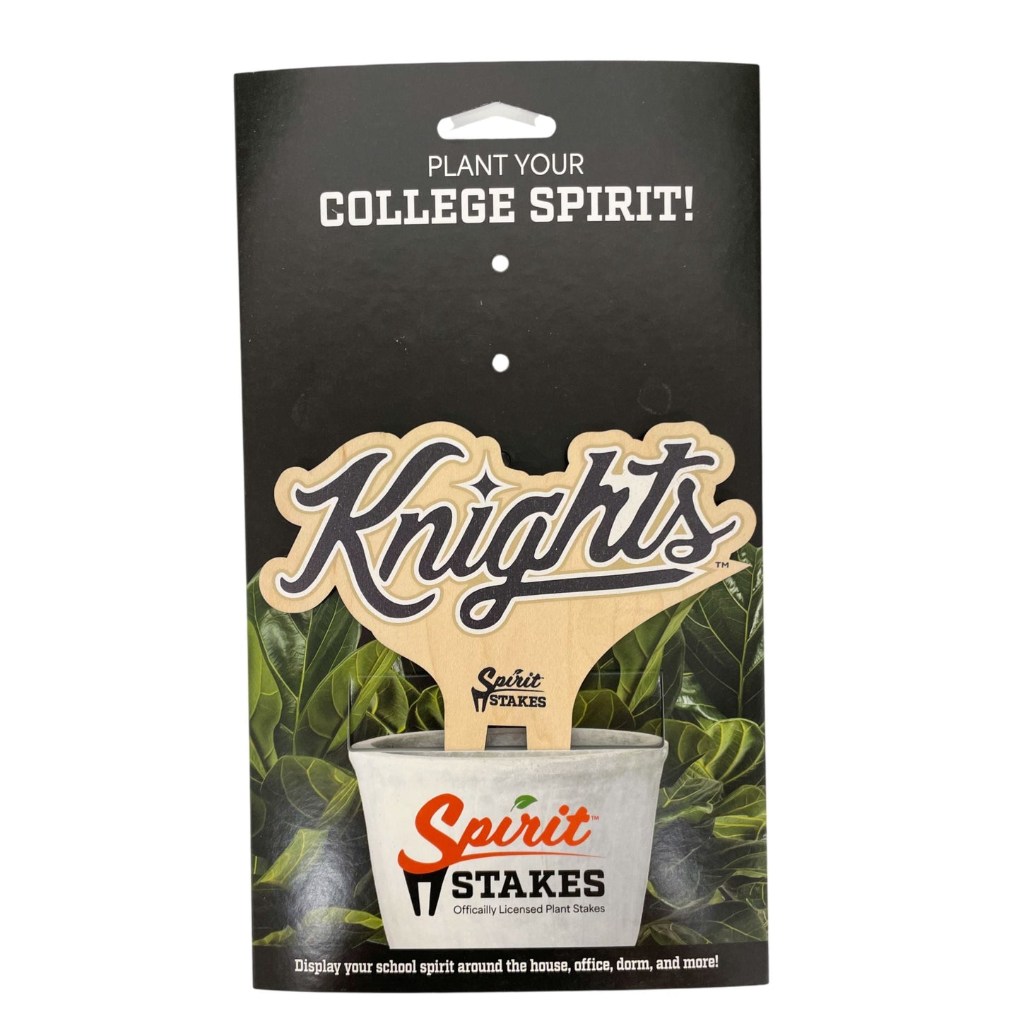 Central Florida 'Knights' Color Plant Stake
