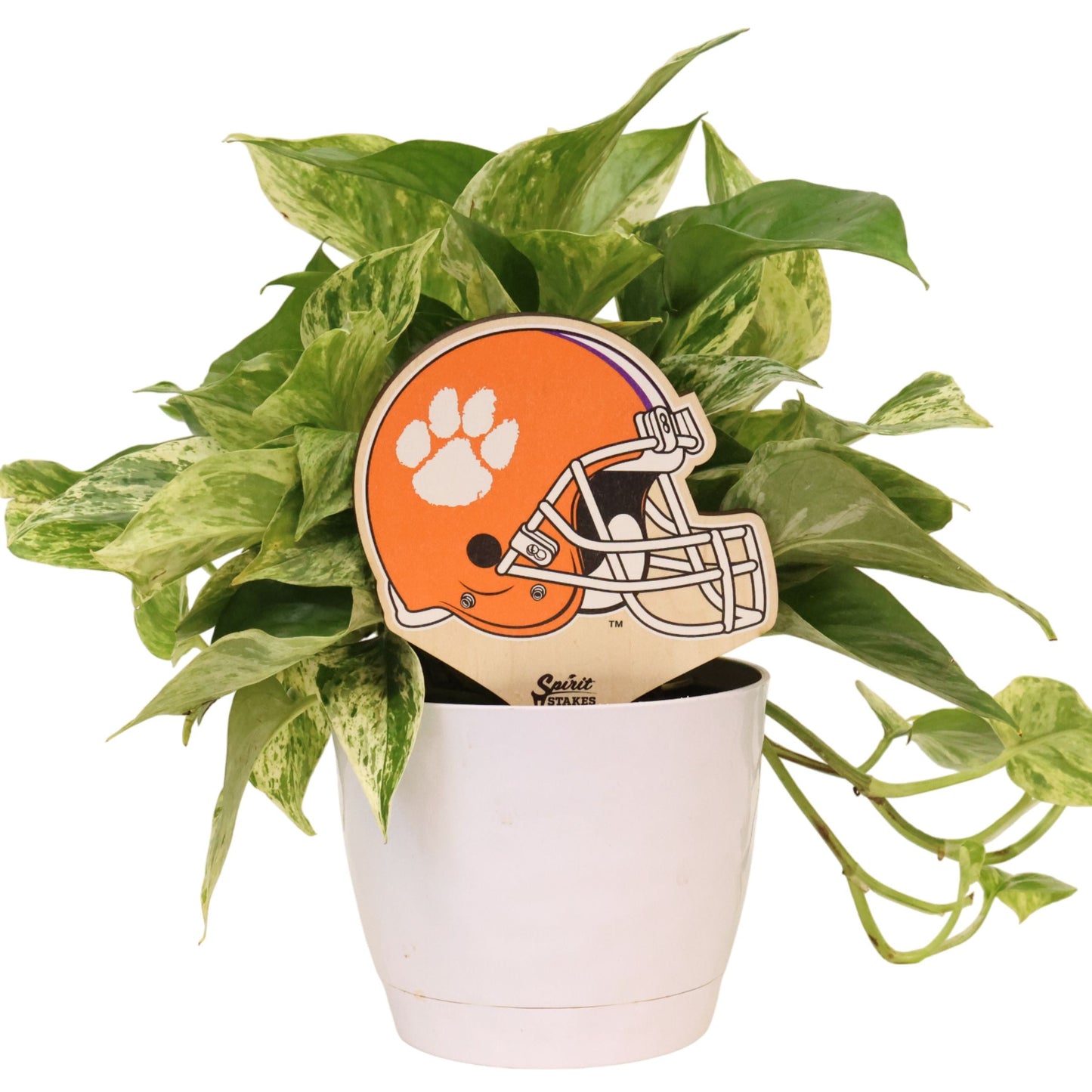 Clemson University Helmet Color Plant Stake