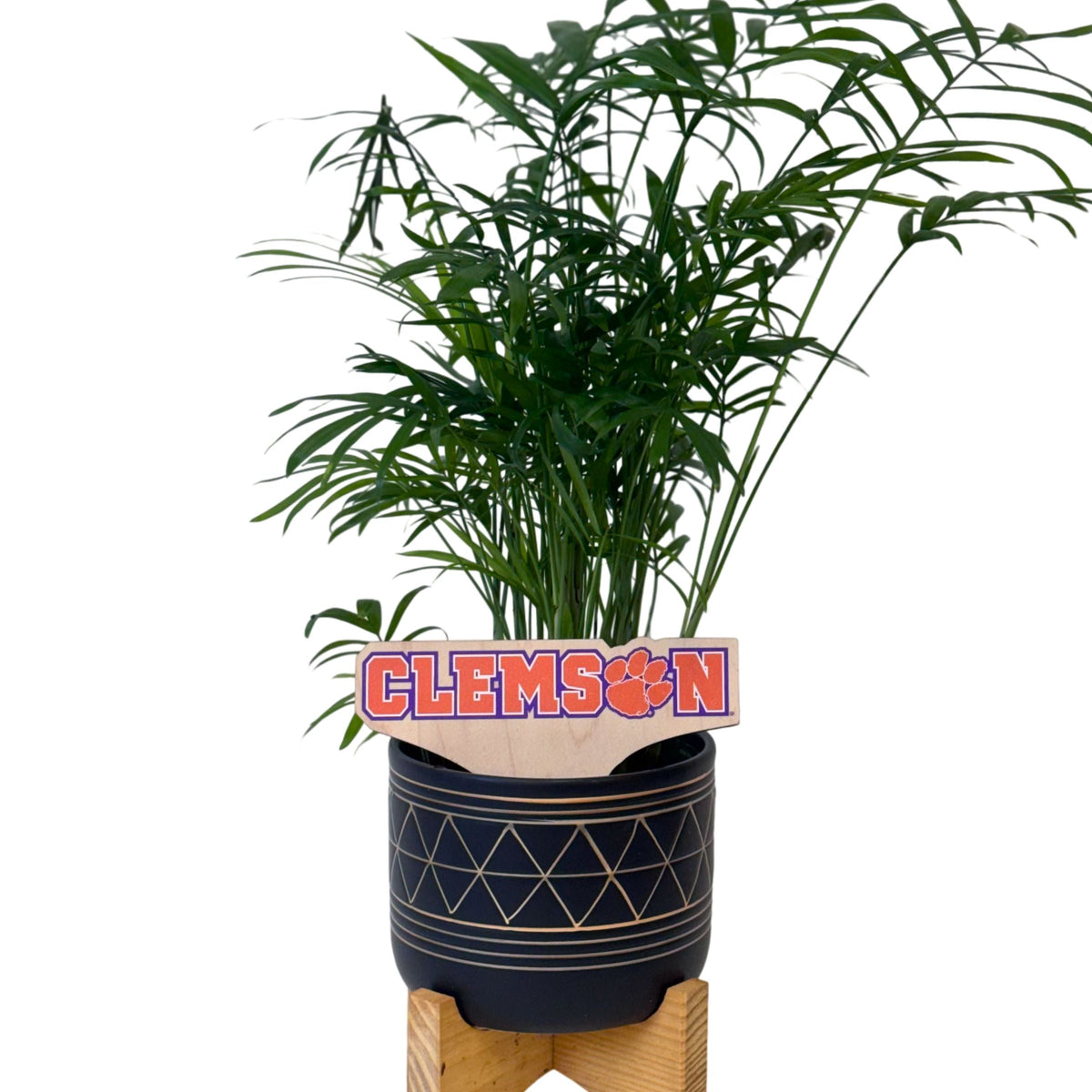 Clemson University Color Plant Stake