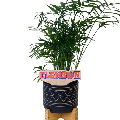 Clemson University Color Plant Stake