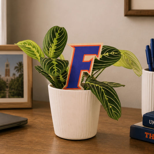Florida, University of - Letter Color Plant Stake