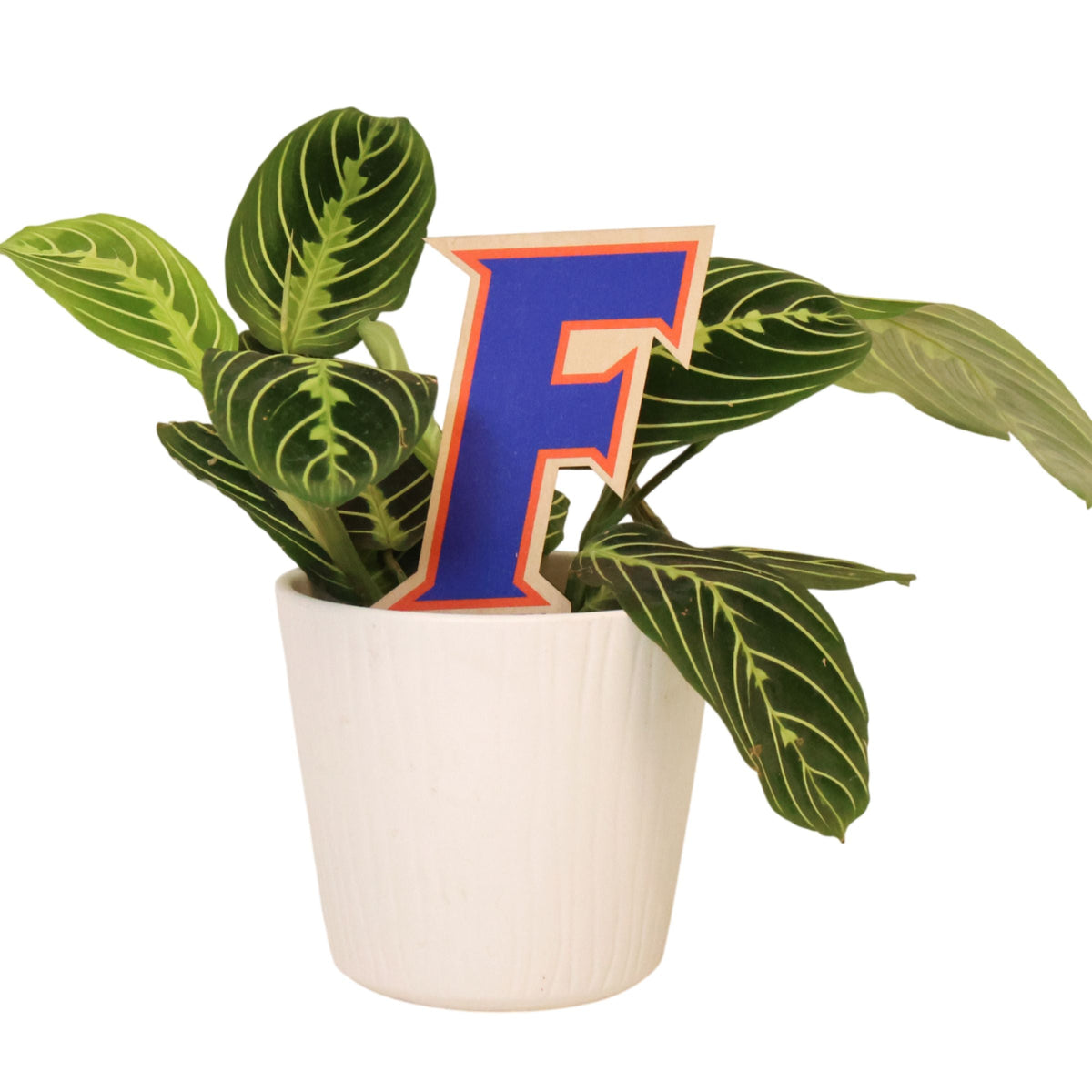 Florida, University of - Letter Color Plant Stake