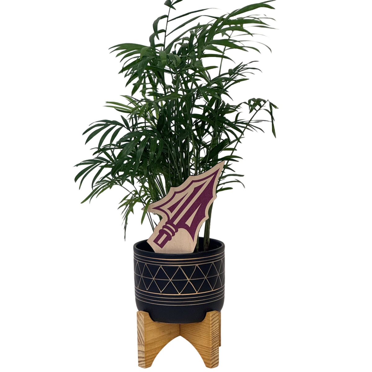 Florida State Arrowhead Color Plant Stake