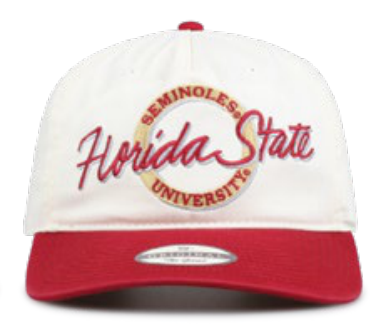 NCAA Florida State Seminoles The Game 5 Panel Oversize Circle Ivory Snapback Hat