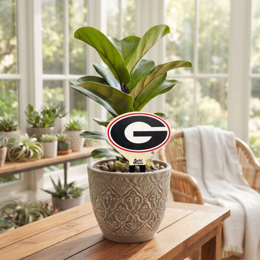 University of Georgia Color Plant Stake