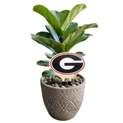 University of Georgia Color Plant Stake