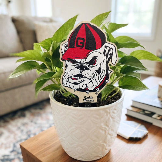 University of Georgia Uga Color Plant Stake
