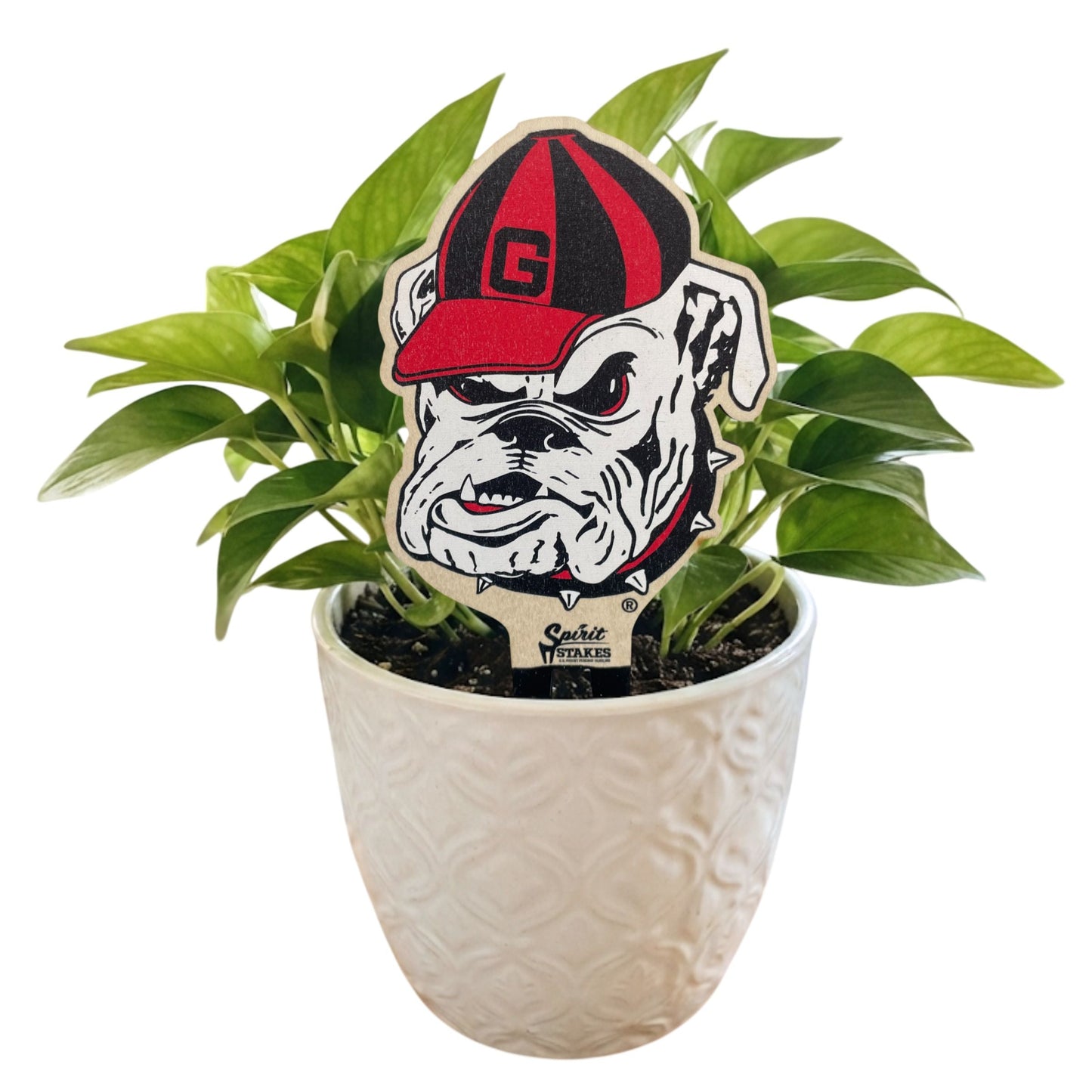 University of Georgia Uga Color Plant Stake