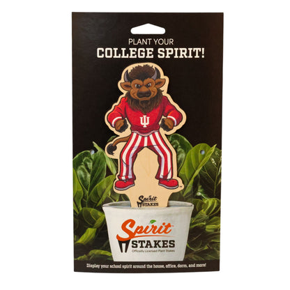 Indiana University Hoosier Color Plant Stake