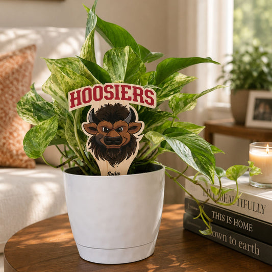 Indiana University Bison Head Color Plant Stake