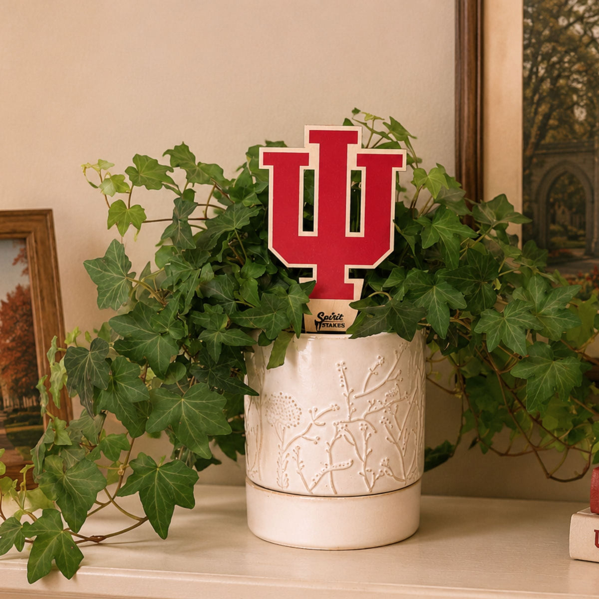 Indiana University Trident Color Plant Stake