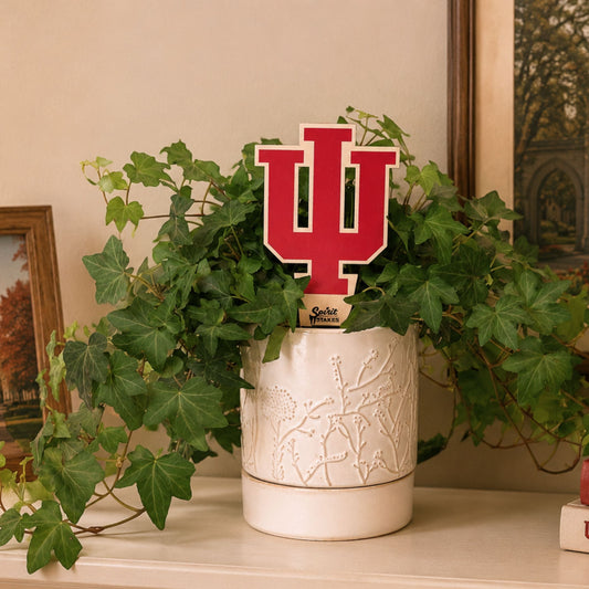 Indiana University Trident Color Plant Stake