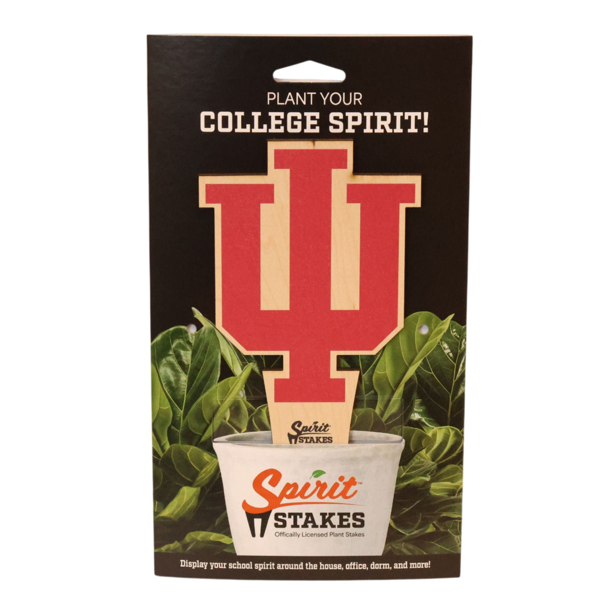 Indiana University Trident Color Plant Stake