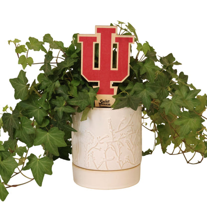 Indiana University Trident Color Plant Stake