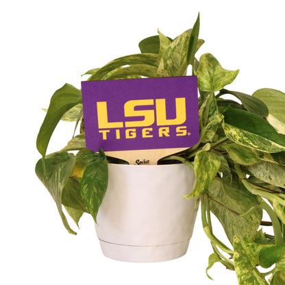 LSU Tigers Logo Color Plant Stake
