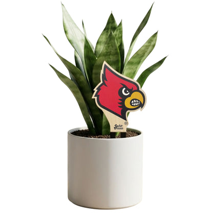 University of Louisville Cardinal Color Plant Stake