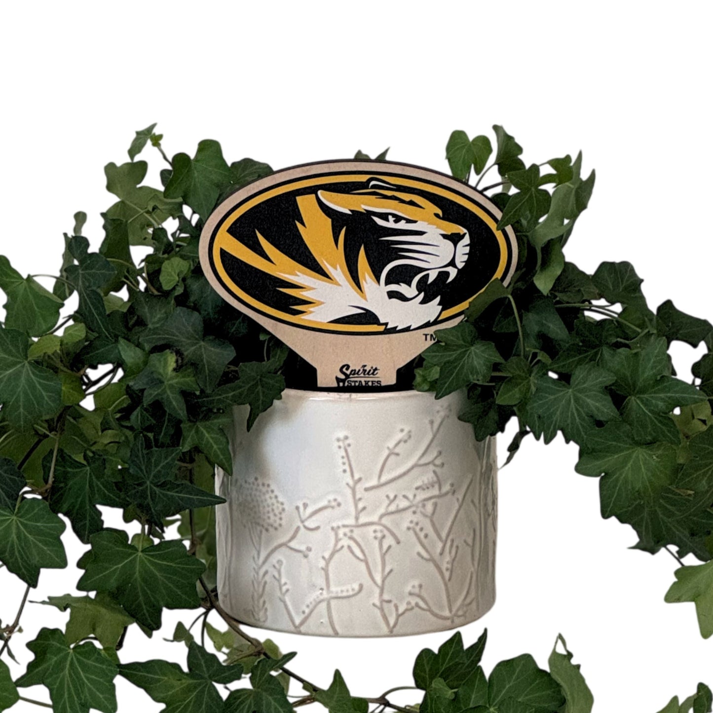 Missouri, University of - Tiger Color Plant Stake