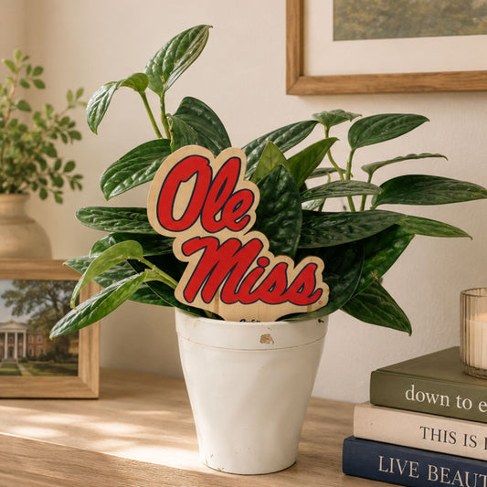 Mississippi, University of - Ole Miss Plant Stake