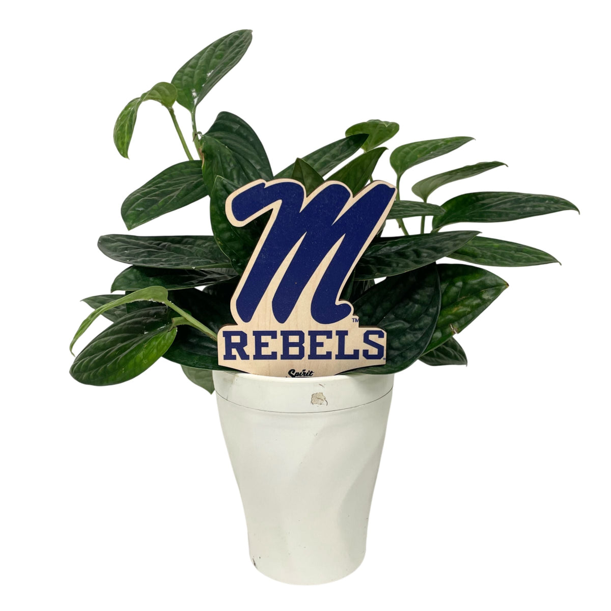 Mississippi, University of - Rebels Color Plant Stake