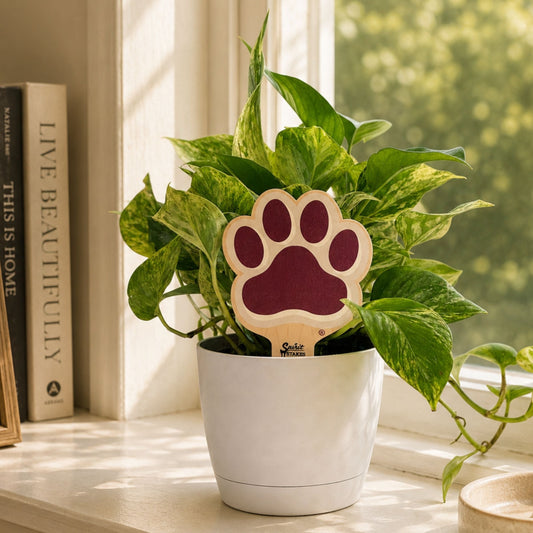 Mississippi State Paw Color Plant Stake