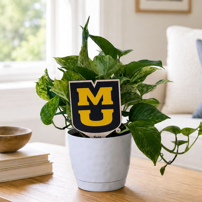 Missouri, University of -  "MU" Color Plant Stake