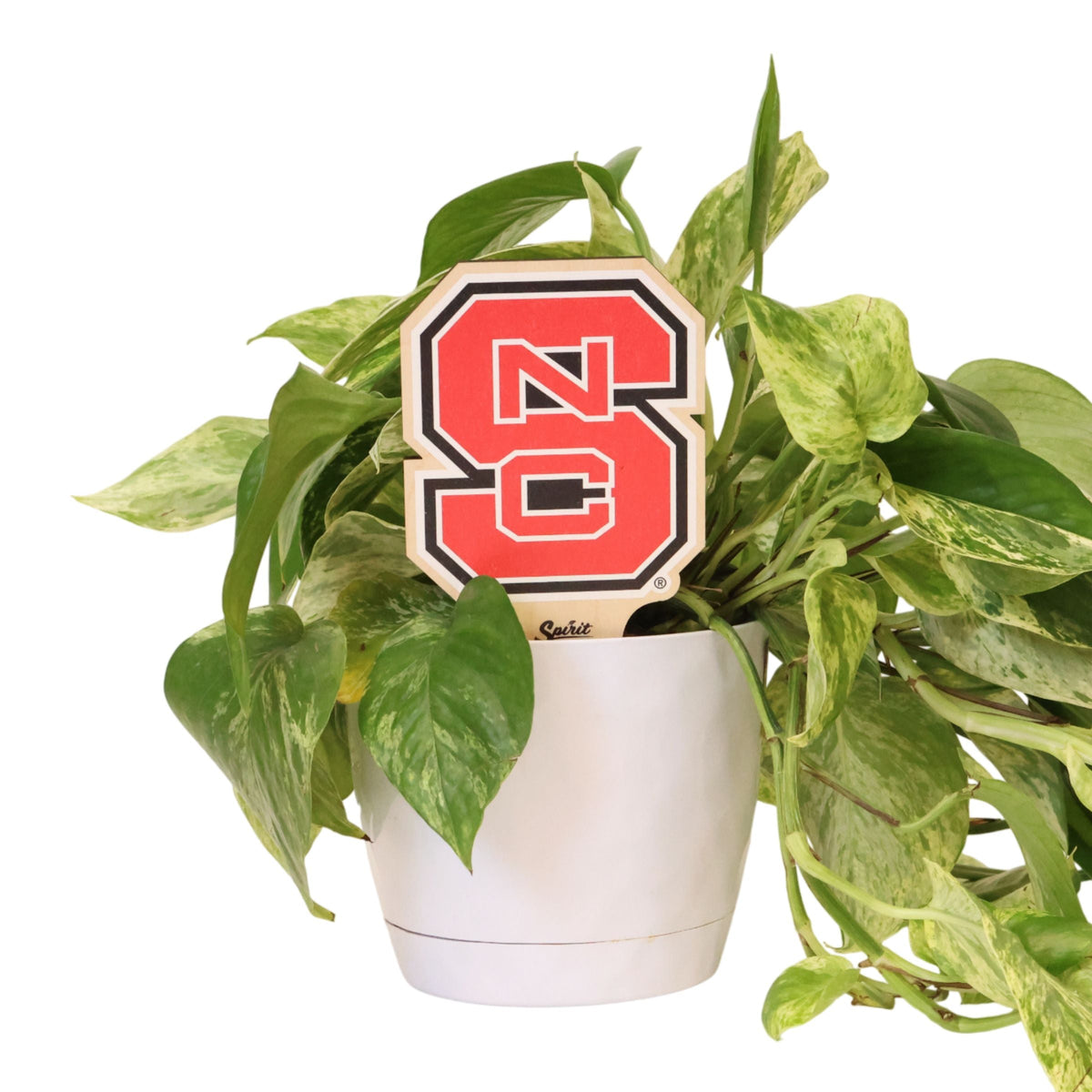 North Carolina State Logo Color Plant Stake
