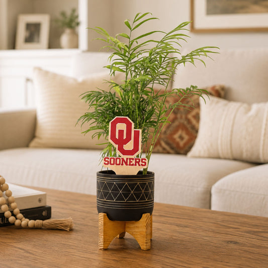Oklahoma Logotype Color Plant Stake