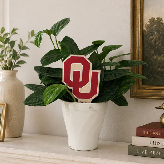 Oklahoma, University of - OU Color Plant Stake