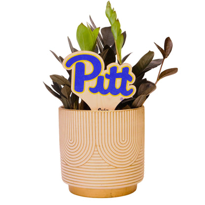 Pittsburgh, University of - "Pitt" Color Plant Stake