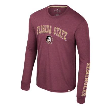 Florida State Seminoles Colosseum Men's Virtual Reality Long Sleeve Tee - officially licensed fan gear