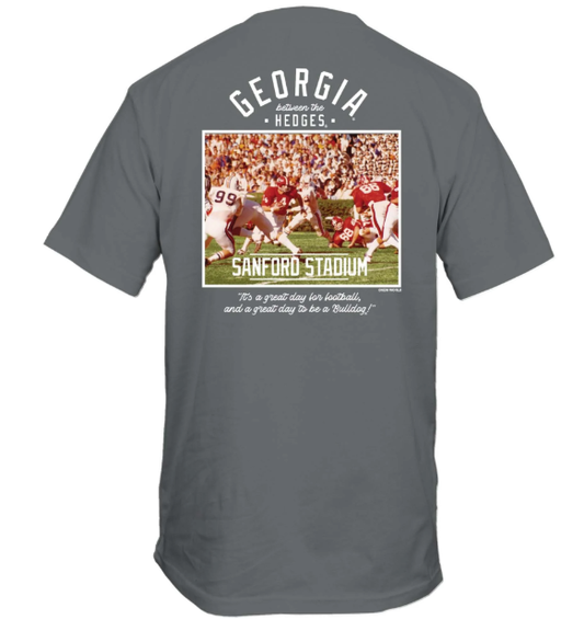 Georgia Bulldogs New World Graphics Sandford Stadium Tee