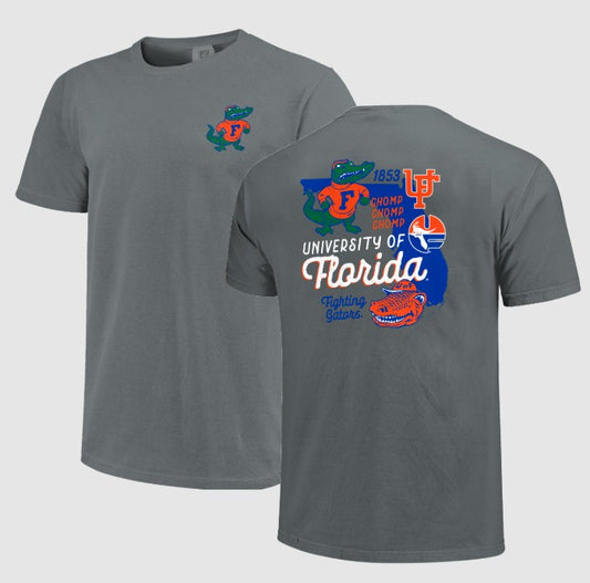 Florida Gators Image One Vintage State Tee