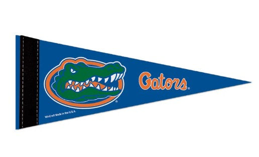Florida Gators Wincraft Mini Pennant