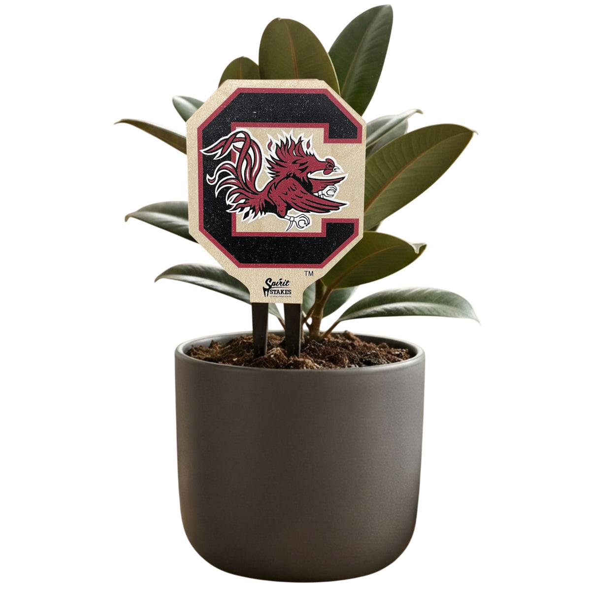 South Carolina Gamecock Color Plant Stake