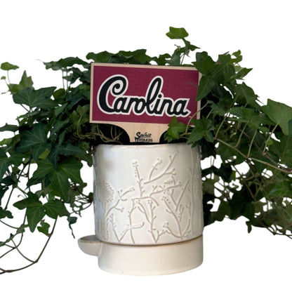 South Carolina Script Color Plant Stake