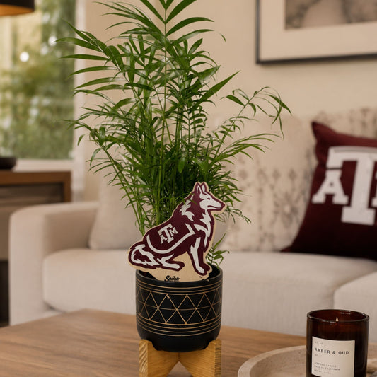 Texas A&M Aggies Color Plant Stake