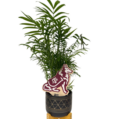 Texas A&M Aggies Color Plant Stake