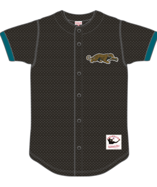 NFL Jacksonville Jaguars Mitchell & Ness Mesh Button-Front Baseball Jersey - Black Prowler