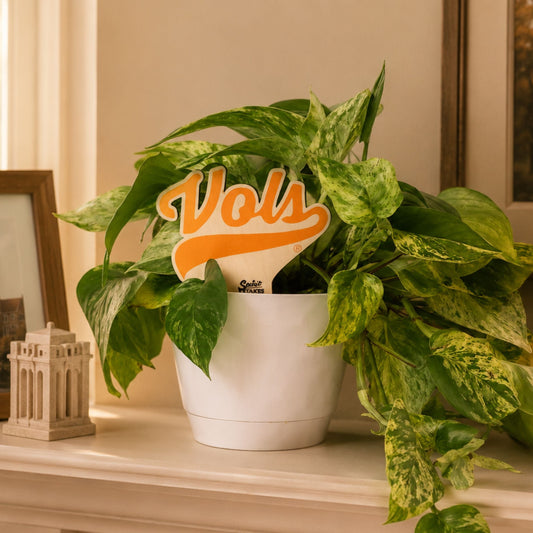 Tennessee Vols Color Plant Stake